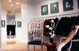 Easy and Elegant Shopping