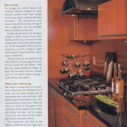 Published Work