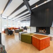 Mid Century Modern Dramatic Fireplace