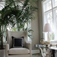 2015 Decorators’ Show House